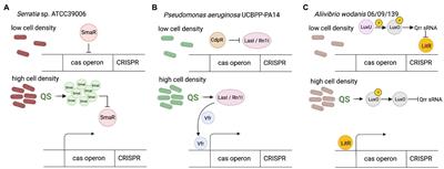 Mechanisms regulating the CRISPR-Cas systems